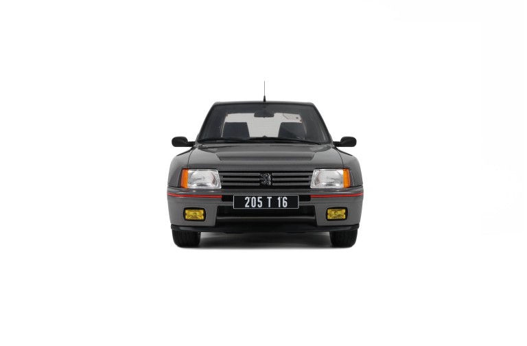 Peugeot 205 T16 Série 200 Winchester Grey 1984