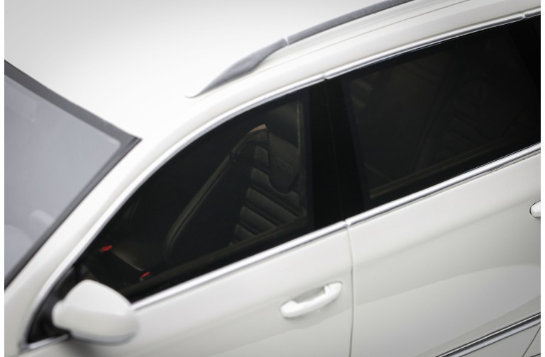 Volkswagen Passat (B6) R36 Variant Candy White 2008