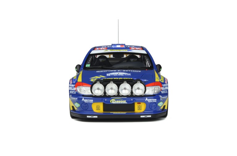 Renault Megane Maxi Rallye Mont Blanc 2000