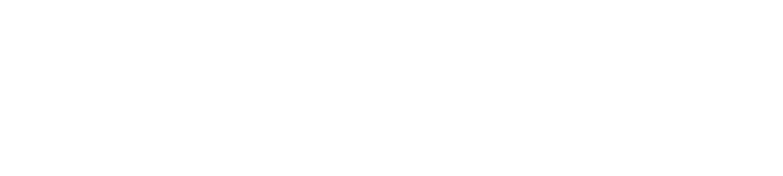 The Otto Store